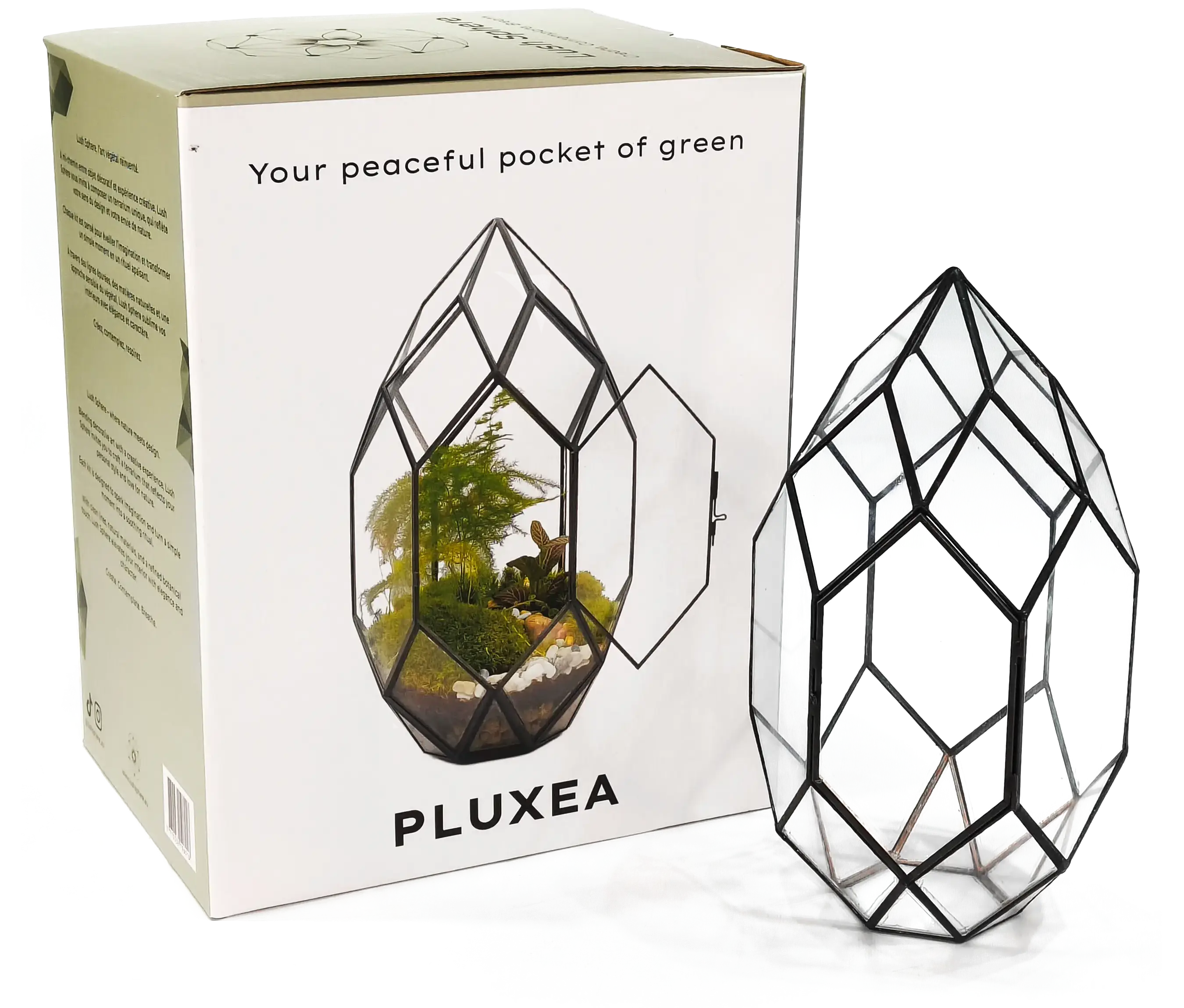 PLUXEA